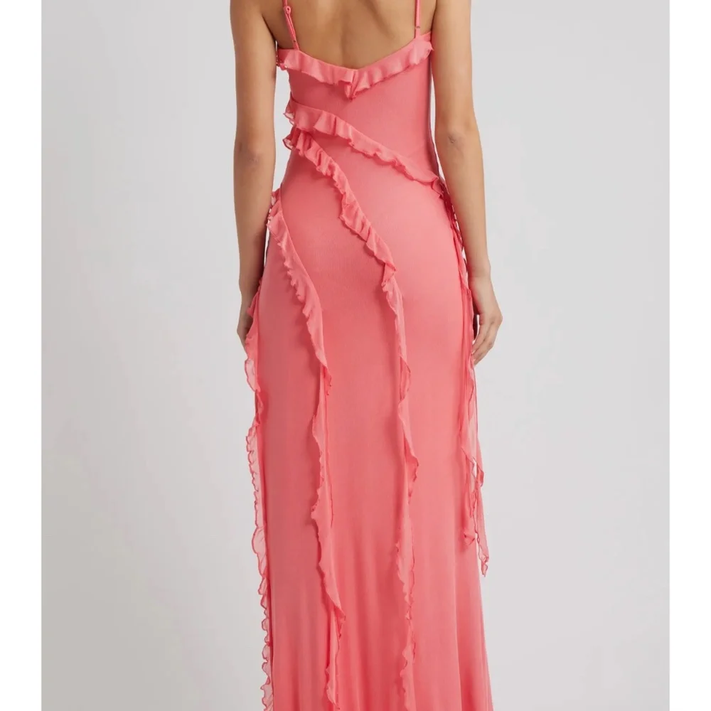 Valerian Ruffle Mesh Gown - Picture 4 of 4